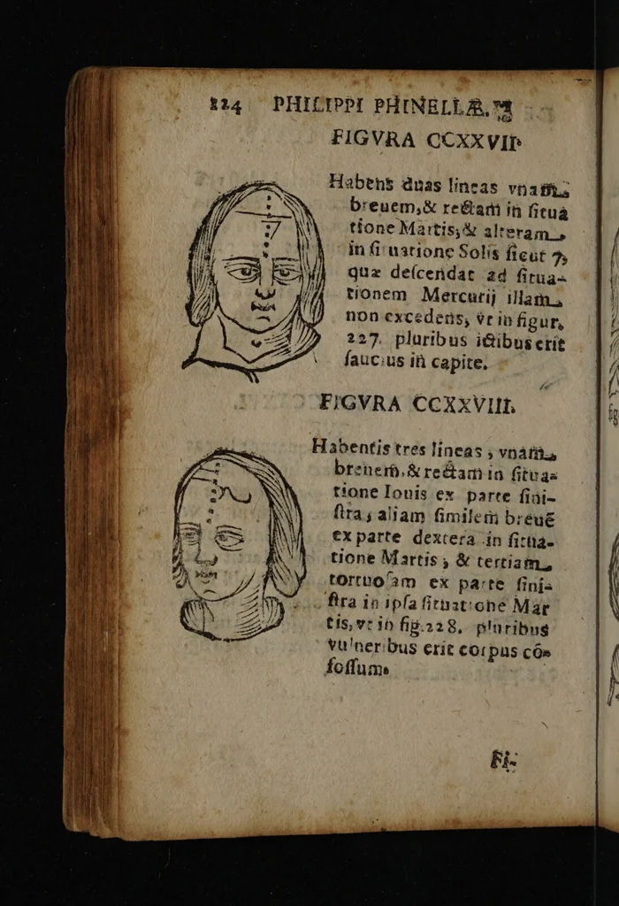 An illustration from Philippi Phinellae, De methoposcopia astronomica de duodecim signis coelestibus., 1650, leaf 138