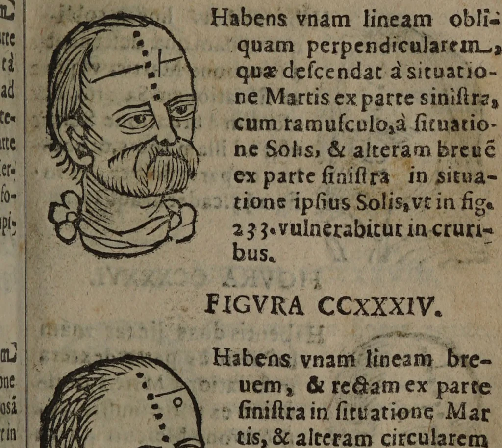 An illustration from Philippi Phinellae, De methoposcopia astronomica de duodecim signis coelestibus., 1650, leaf 141