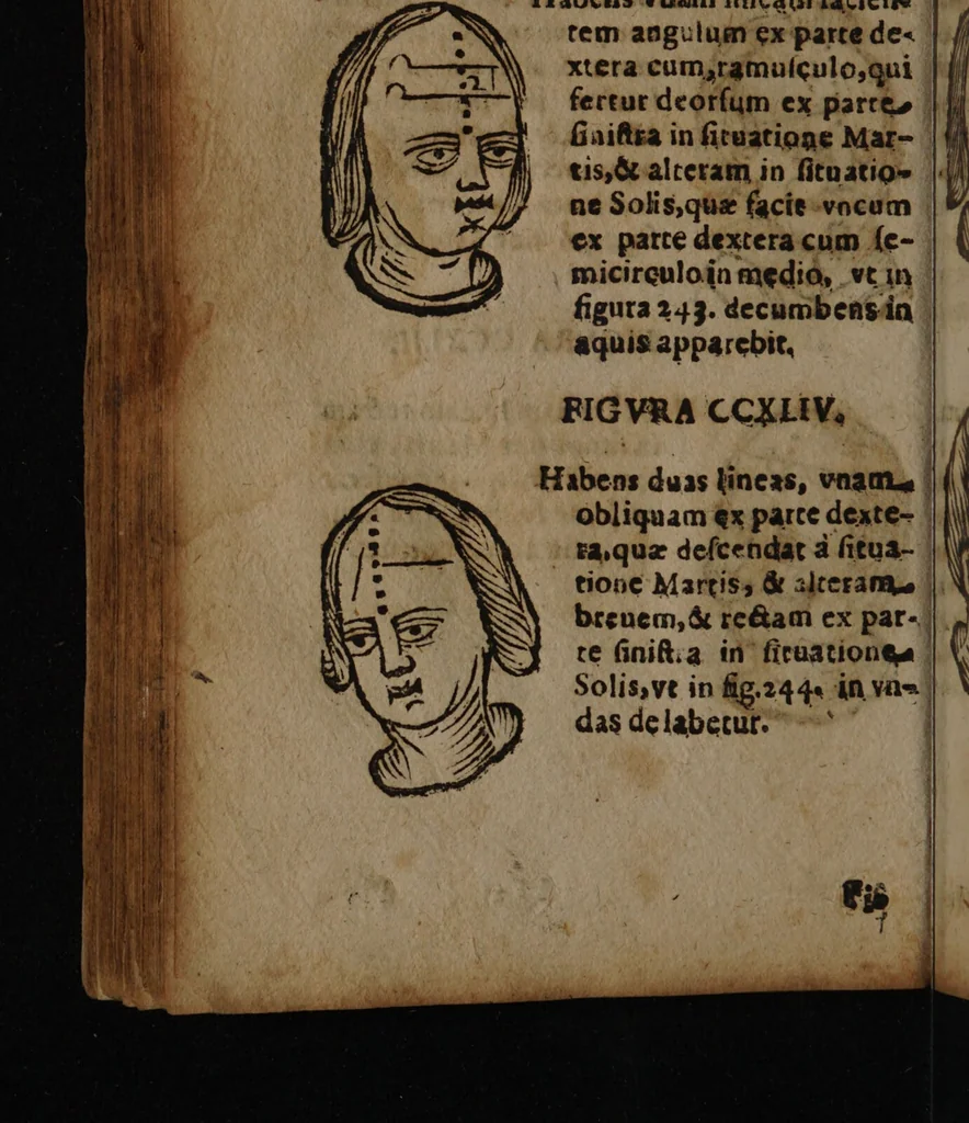 An illustration from Philippi Phinellae, De methoposcopia astronomica de duodecim signis coelestibus., 1650, leaf 146