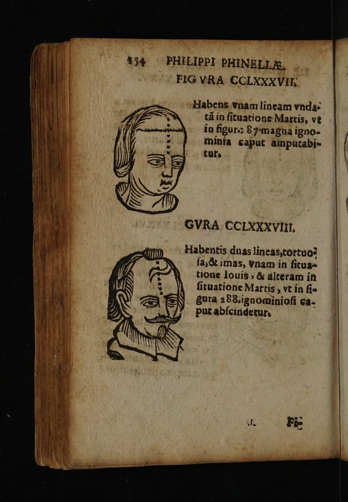 An illustration from Philippi Phinellae, De methoposcopia astronomica de duodecim signis coelestibus., 1650, leaf 168