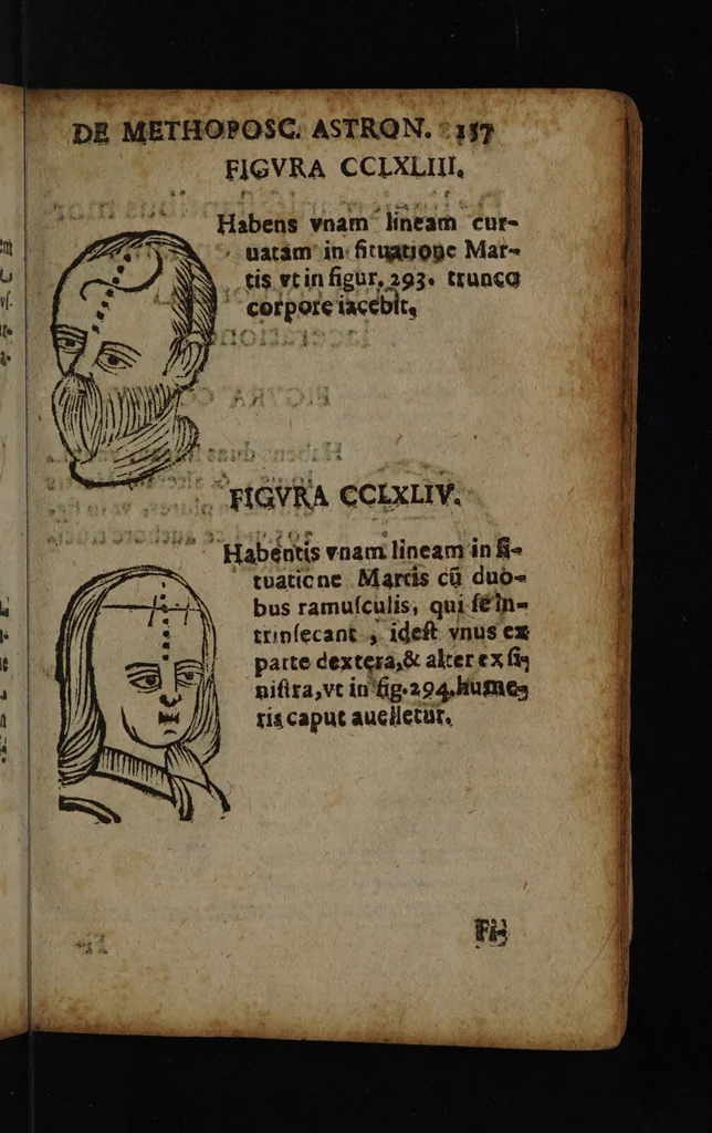 An illustration from Philippi Phinellae, De methoposcopia astronomica de duodecim signis coelestibus., 1650, leaf 171