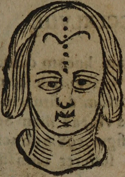 An illustration from Philippi Phinellae, De methoposcopia astronomica de duodecim signis coelestibus., 1650, leaf 173