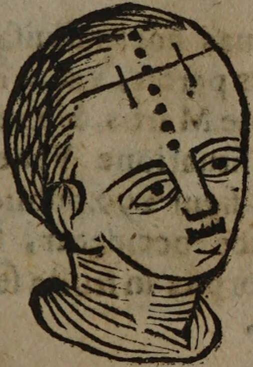 An illustration from Philippi Phinellae, De methoposcopia astronomica de duodecim signis coelestibus., 1650, leaf 173