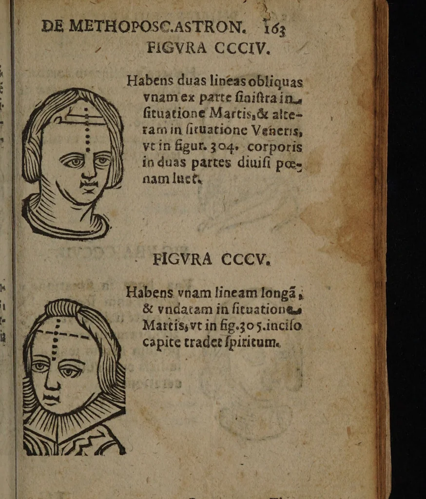 An illustration from Philippi Phinellae, De methoposcopia astronomica de duodecim signis coelestibus., 1650, leaf 177