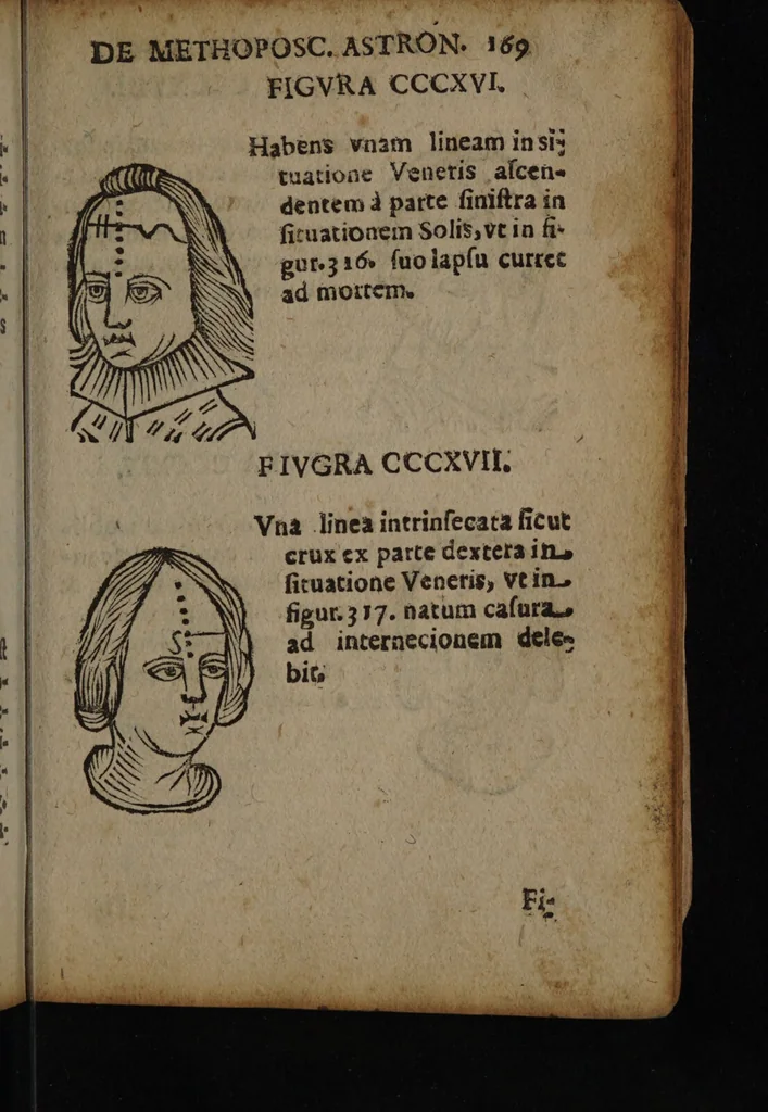 An illustration from Philippi Phinellae, De methoposcopia astronomica de duodecim signis coelestibus., 1650, leaf 183