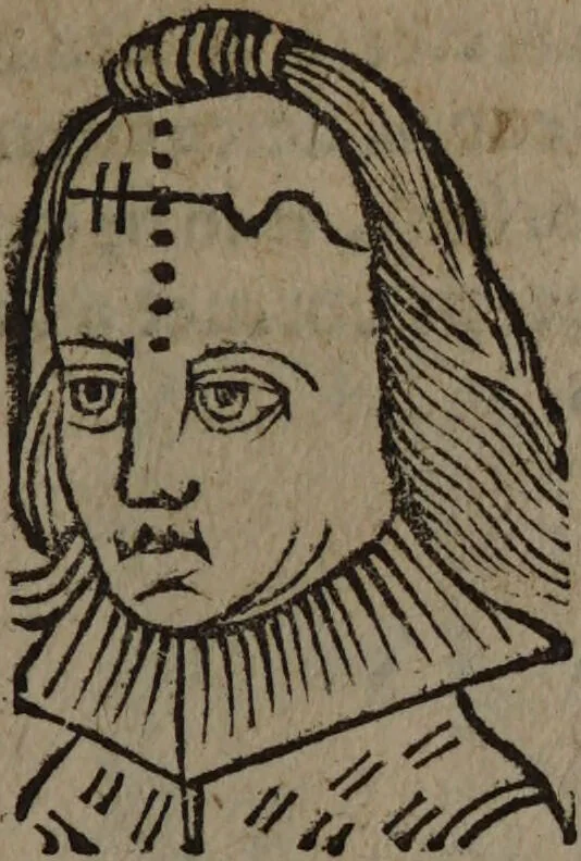An illustration from Philippi Phinellae, De methoposcopia astronomica de duodecim signis coelestibus., 1650, leaf 183