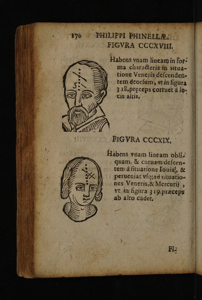 An illustration from Philippi Phinellae, De methoposcopia astronomica de duodecim signis coelestibus., 1650, leaf 184
