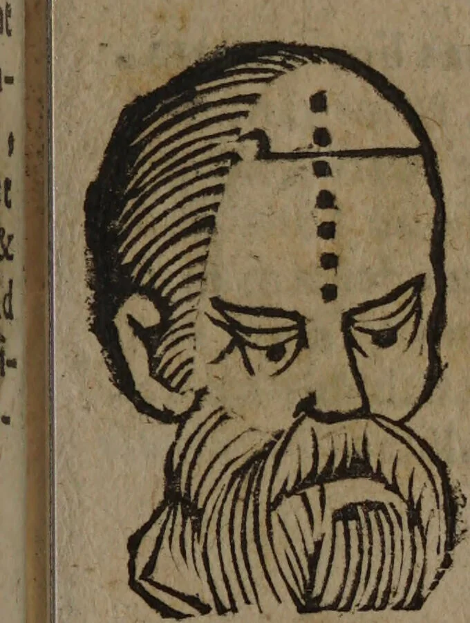 An illustration from Philippi Phinellae, De methoposcopia astronomica de duodecim signis coelestibus., 1650, leaf 203