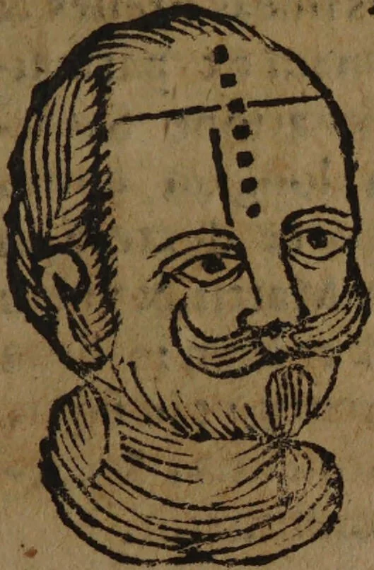 An illustration from Philippi Phinellae, De methoposcopia astronomica de duodecim signis coelestibus., 1650, leaf 219