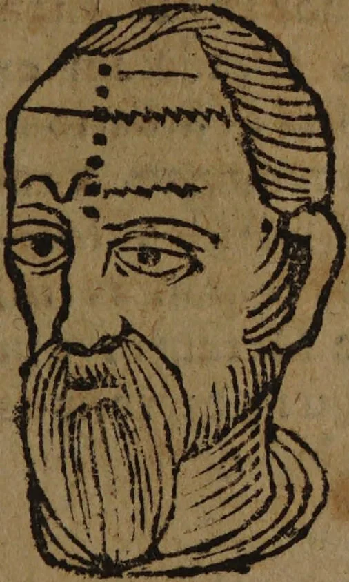 An illustration from Philippi Phinellae, De methoposcopia astronomica de duodecim signis coelestibus., 1650, leaf 219
