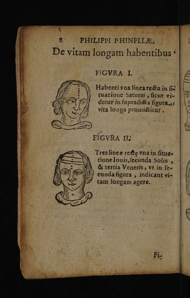 An illustration from Philippi Phinellae, De methoposcopia astronomica de duodecim signis coelestibus., 1650, leaf 22