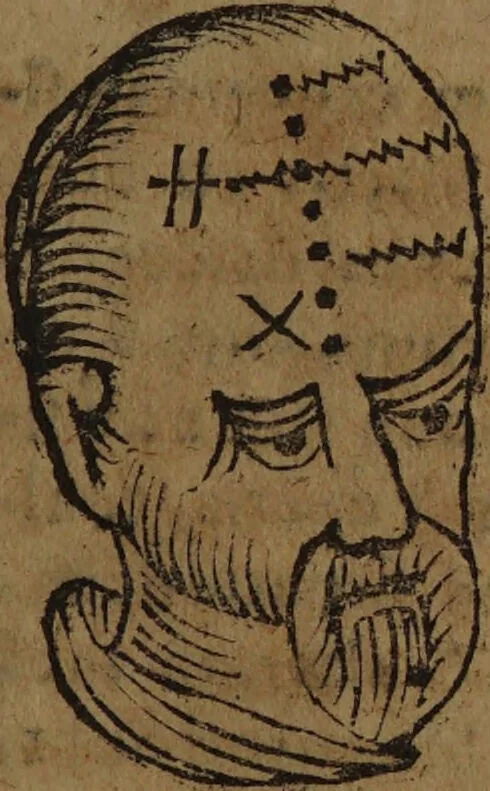 An illustration from Philippi Phinellae, De methoposcopia astronomica de duodecim signis coelestibus., 1650, leaf 221