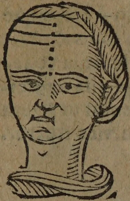 An illustration from Philippi Phinellae, De methoposcopia astronomica de duodecim signis coelestibus., 1650, leaf 23