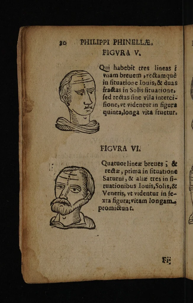An illustration from Philippi Phinellae, De methoposcopia astronomica de duodecim signis coelestibus., 1650, leaf 24