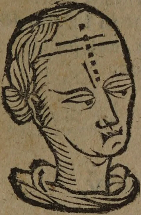 An illustration from Philippi Phinellae, De methoposcopia astronomica de duodecim signis coelestibus., 1650, leaf 27
