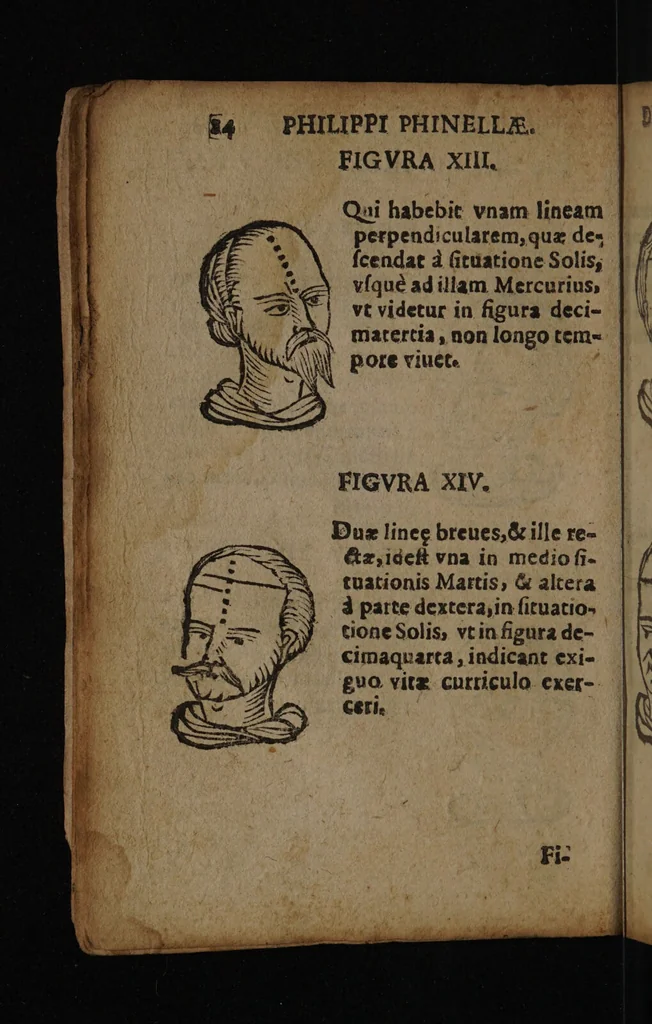 An illustration from Philippi Phinellae, De methoposcopia astronomica de duodecim signis coelestibus., 1650, leaf 28