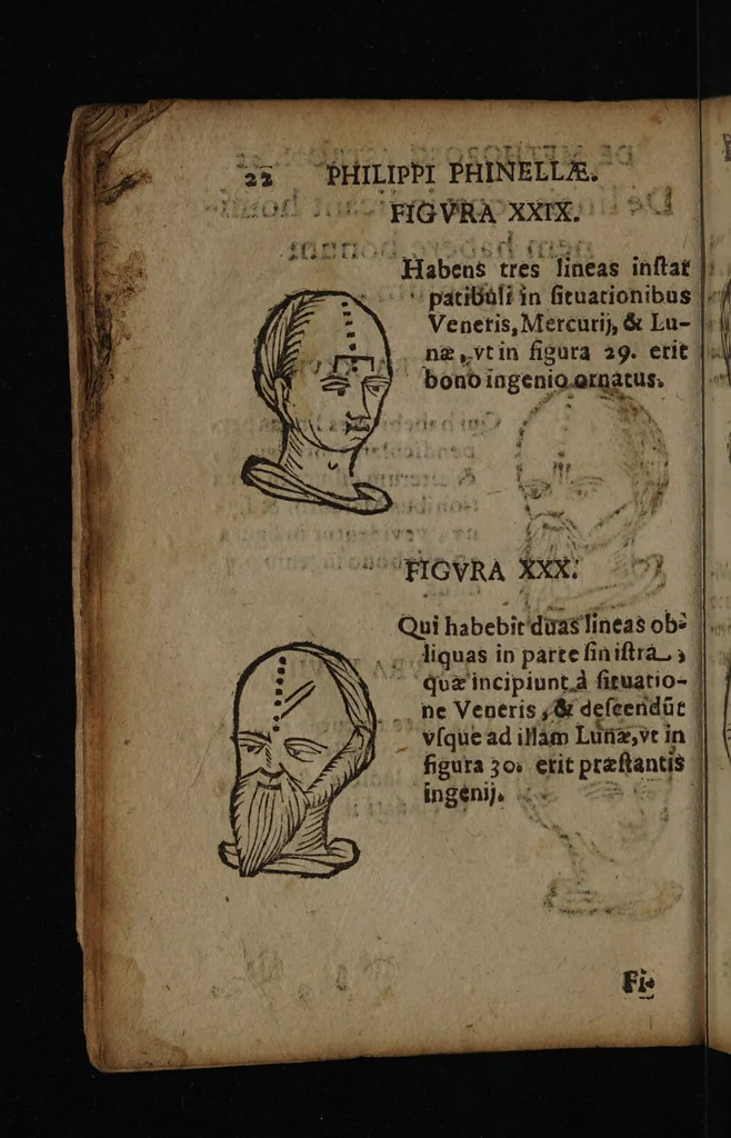 An illustration from Philippi Phinellae, De methoposcopia astronomica de duodecim signis coelestibus., 1650, leaf 36