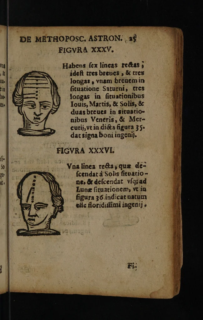 An illustration from Philippi Phinellae, De methoposcopia astronomica de duodecim signis coelestibus., 1650, leaf 39