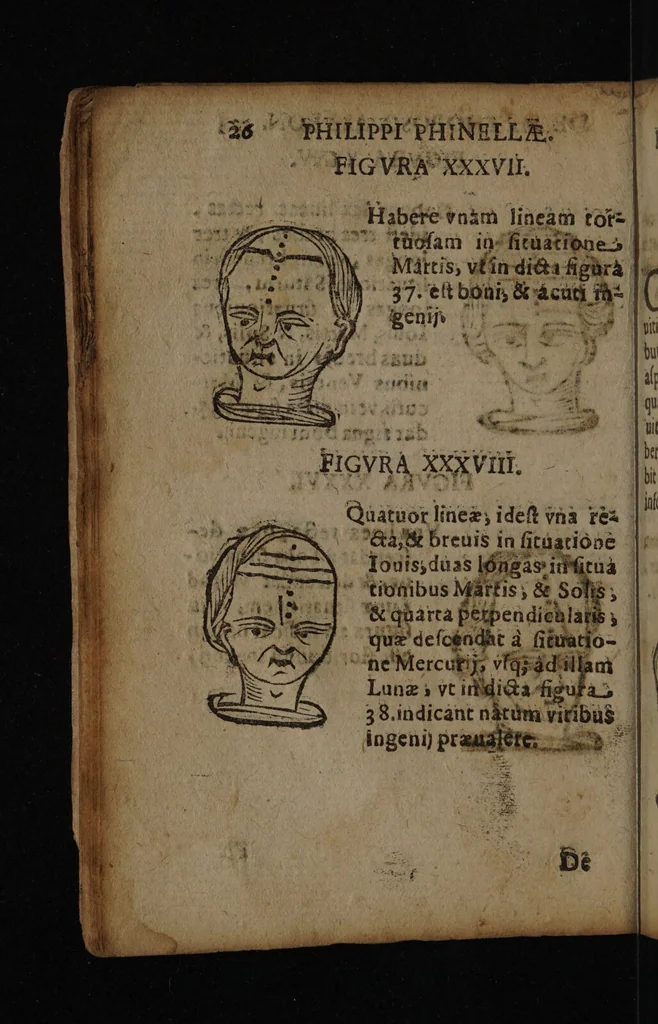 An illustration from Philippi Phinellae, De methoposcopia astronomica de duodecim signis coelestibus., 1650, leaf 40
