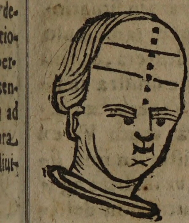 An illustration from Philippi Phinellae, De methoposcopia astronomica de duodecim signis coelestibus., 1650, leaf 47