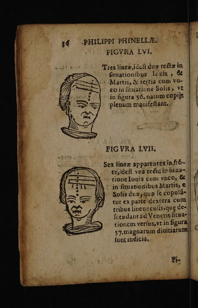 An illustration from Philippi Phinellae, De methoposcopia astronomica de duodecim signis coelestibus., 1650, leaf 50