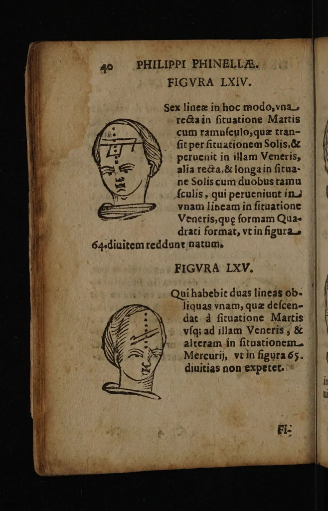 An illustration from Philippi Phinellae, De methoposcopia astronomica de duodecim signis coelestibus., 1650, leaf 54