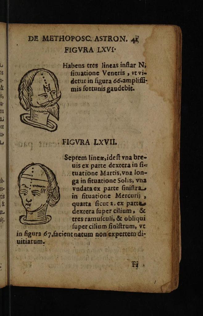 An illustration from Philippi Phinellae, De methoposcopia astronomica de duodecim signis coelestibus., 1650, leaf 55