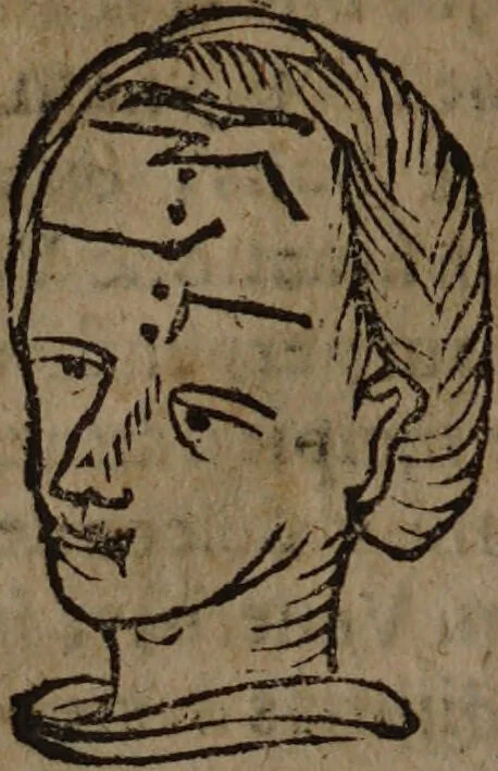An illustration from Philippi Phinellae, De methoposcopia astronomica de duodecim signis coelestibus., 1650, leaf 58