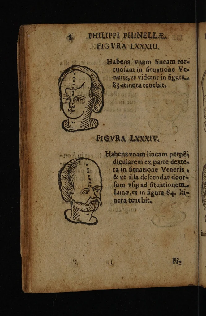 An illustration from Philippi Phinellae, De methoposcopia astronomica de duodecim signis coelestibus., 1650, leaf 64