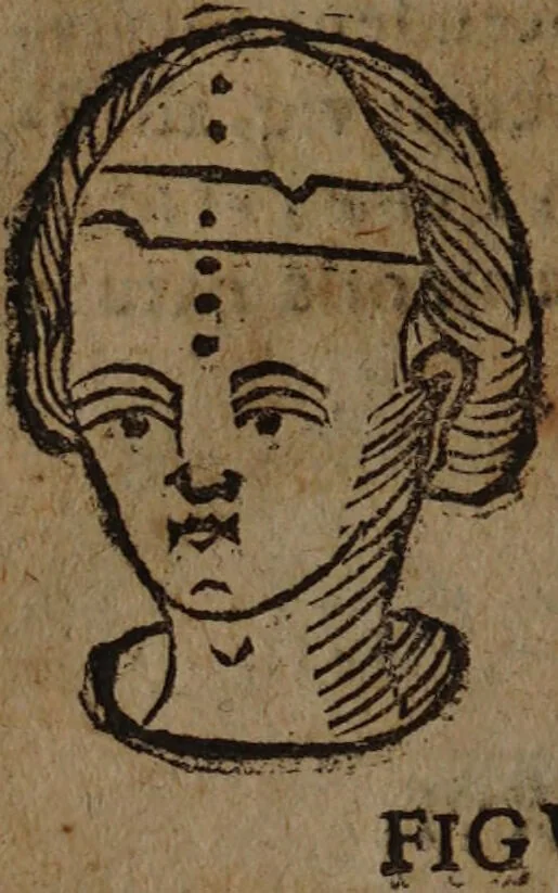 An illustration from Philippi Phinellae, De methoposcopia astronomica de duodecim signis coelestibus., 1650, leaf 66