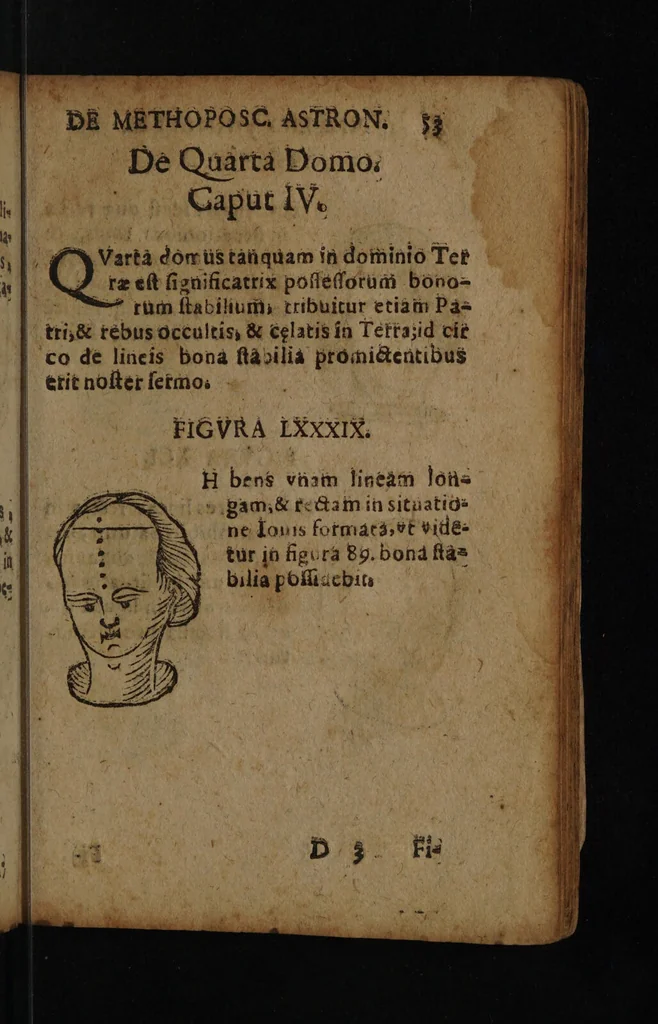 An illustration from Philippi Phinellae, De methoposcopia astronomica de duodecim signis coelestibus., 1650, leaf 67