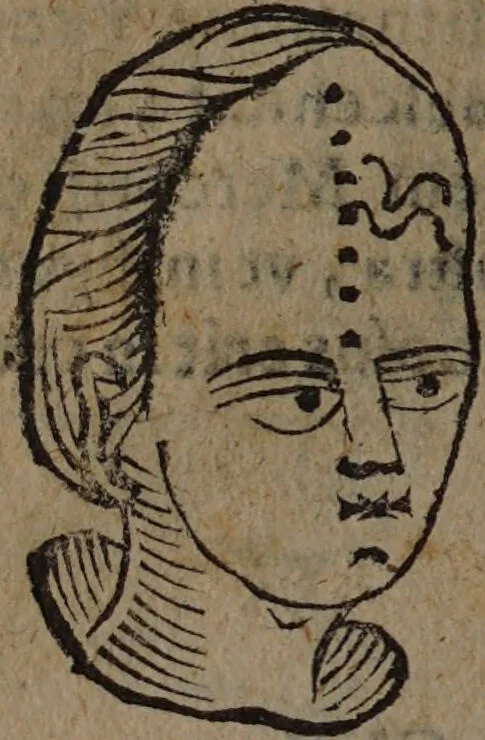 An illustration from Philippi Phinellae, De methoposcopia astronomica de duodecim signis coelestibus., 1650, leaf 84