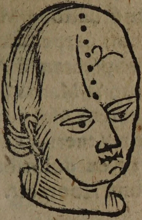 An illustration from Philippi Phinellae, De methoposcopia astronomica de duodecim signis coelestibus., 1650, leaf 85