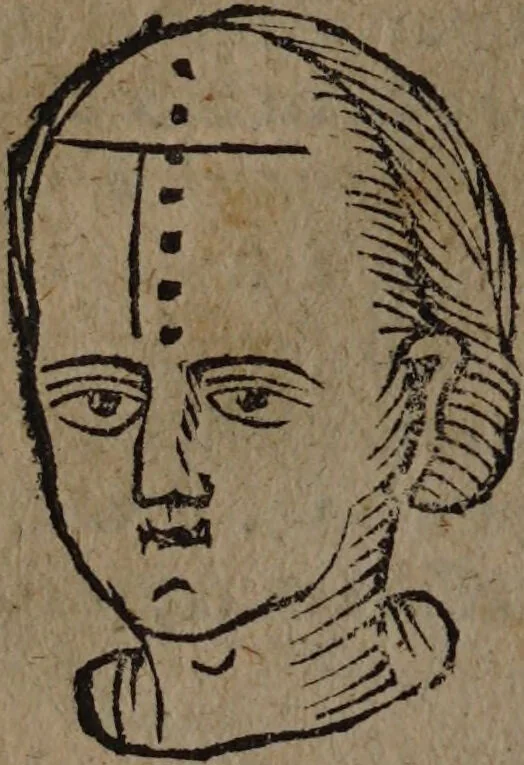 An illustration from Philippi Phinellae, De methoposcopia astronomica de duodecim signis coelestibus., 1650, leaf 86