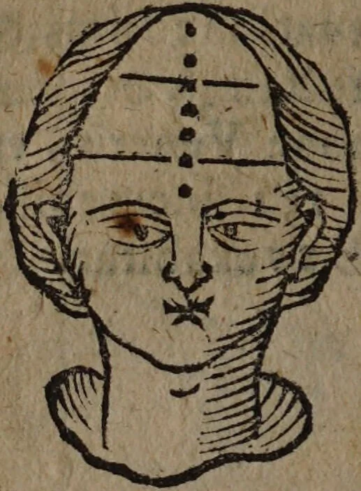 An illustration from Philippi Phinellae, De methoposcopia astronomica de duodecim signis coelestibus., 1650, leaf 90
