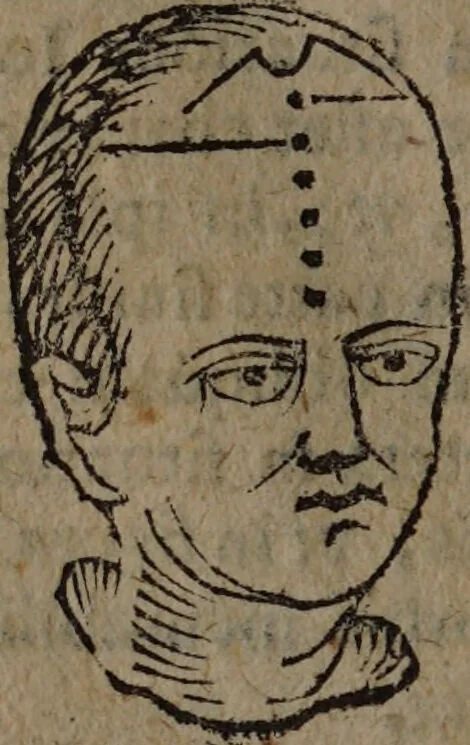 An illustration from Philippi Phinellae, De methoposcopia astronomica de duodecim signis coelestibus., 1650, leaf 90