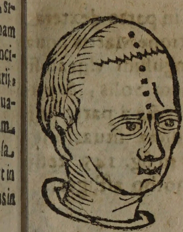 An illustration from Philippi Phinellae, De methoposcopia astronomica de duodecim signis coelestibus., 1650, leaf 95