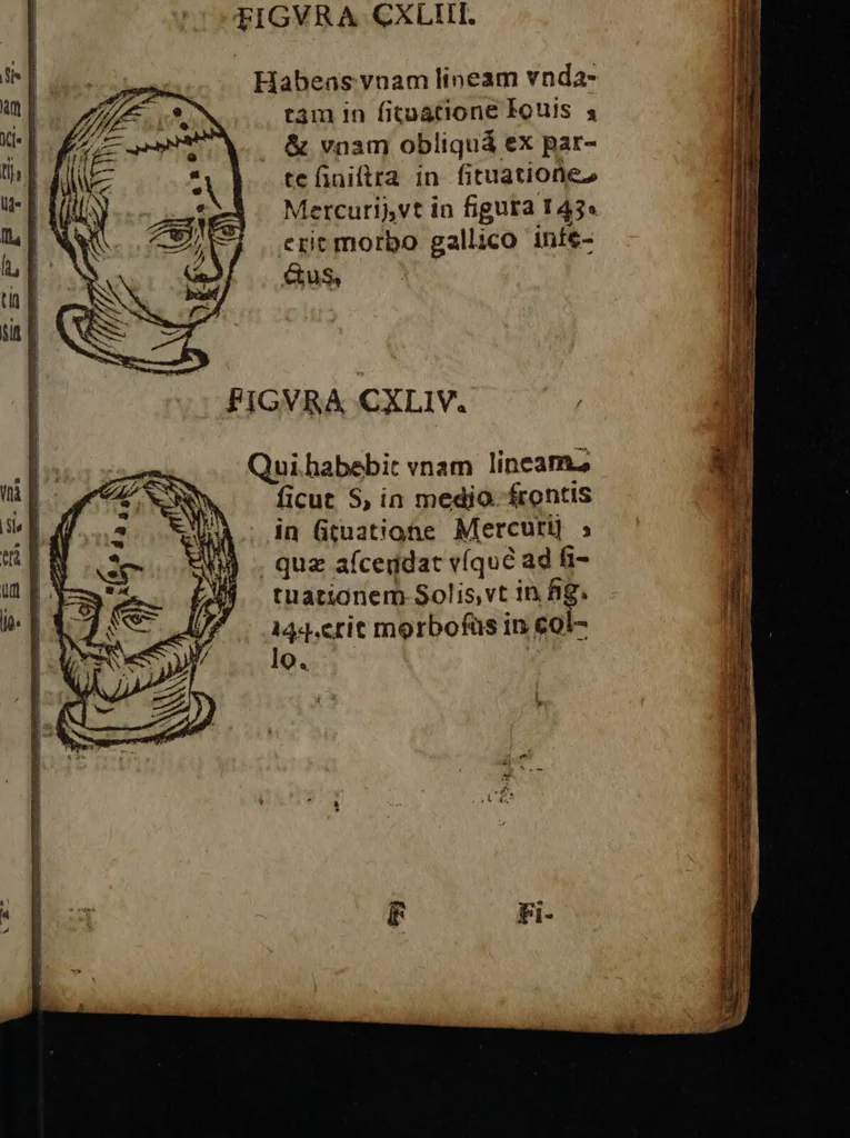 An illustration from Philippi Phinellae, De methoposcopia astronomica de duodecim signis coelestibus., 1650, leaf 95