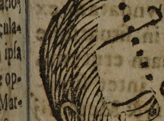 An illustration from Philippi Phinellae, De methoposcopia astronomica de duodecim signis coelestibus., 1650, leaf 97