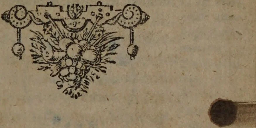 An illustration from Zachariae Brendelii ... Chimia in artis formam redacta ubi praeter methodum addiscendi egcheirēseis chimicas facilimam, disquisitio curata de famosissima praeparatione, auri potabilis instituitur. / Post obitum autoris, consilio Werneri Rolfinck., 1671, leaf 13