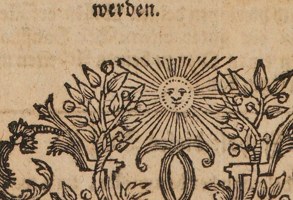 An illustration from Occulta philosophia oder Coelum Sapientum et Vexatio Stultorum. Darinnen ordentlich, deutlich, und gründlich, als noch von keinem geschehen, gezeiget wird, wie man zu dem acidösischen Solventen und wahren hermetischen Wissenschaft gelangen soll. Wobey zugleich eine sehr curiöse Nachricht von dem Leben des Auctoris und einer Bande Adeptorum befindlich ist. Jezo zum erstennmahl aus einem ... Manuscript ... / zu Nutz heraus gegeben. Von L.H.J.V.H.J.D., 1737, leaf 88
