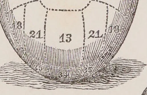 An illustration from An introduction to phrenology, in the form of question and answer. With an appendix, and copious illustrative notes / By Robert Macnish., 1836, leaf 8