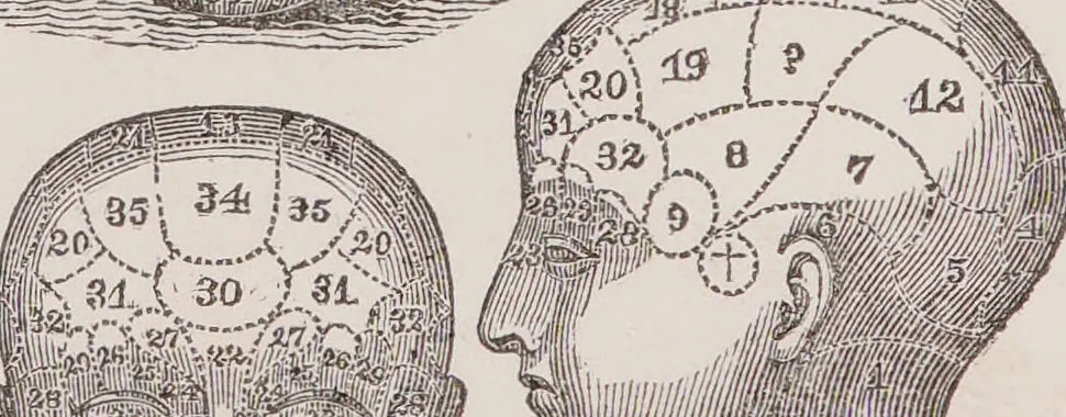 An illustration from An introduction to phrenology, in the form of question and answer. With an appendix, and copious illustrative notes / By Robert Macnish., 1836, leaf 8