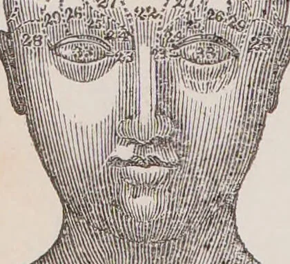 An illustration from An introduction to phrenology, in the form of question and answer. With an appendix, and copious illustrative notes / By Robert Macnish., 1836, leaf 8