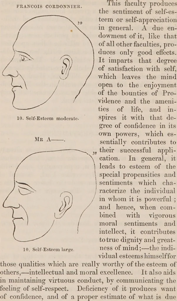 An illustration from Elements of phrenology / [George Combe]., 1850, leaf 104
