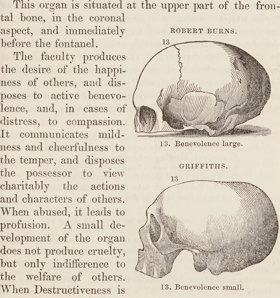 An illustration from Elements of phrenology / [George Combe]., 1850, leaf 111