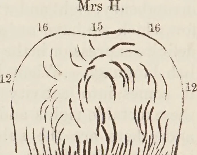 An illustration from Elements of phrenology / [George Combe]., 1850, leaf 117
