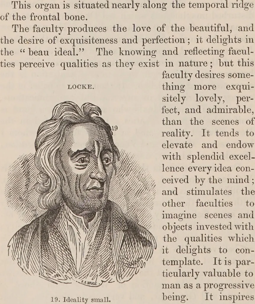 An illustration from Elements of phrenology / [George Combe]., 1850, leaf 124