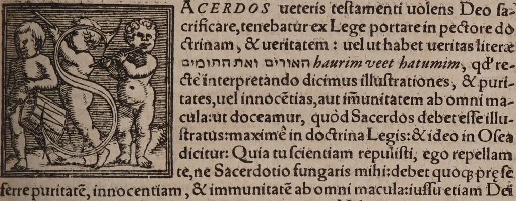 An illustration from Artis cabalisticæ scriptores: hoc est, reconditæ theologiæ et philosophiæ scriptorum: tomus I. In quo praeter Pauli Ricii theologicos et philosophicos libros sunt latini penè omnes et hebræi nonnulli præstantissimi scriptores, qui artem commentariis suis illustrarunt ... / Ex D. Ioanni Pistori Nidani ... bibliotheca., 1587, leaf 795