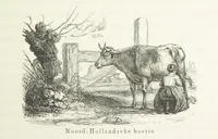 Picture 54 of 127 from Ons Vaderland en zijne Bewoners ... Met ... platen, etc (1855), leaf 243